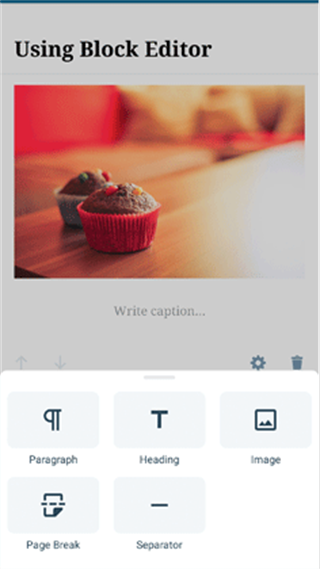 wordpress 图11 wordpress 图11