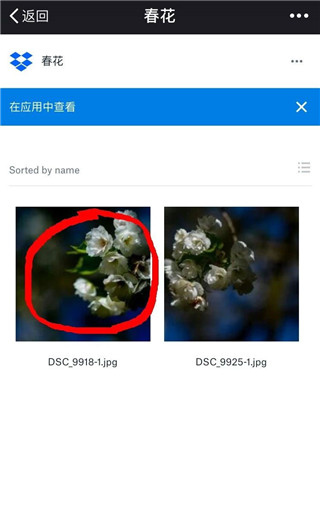 Dropbox手机版 图3