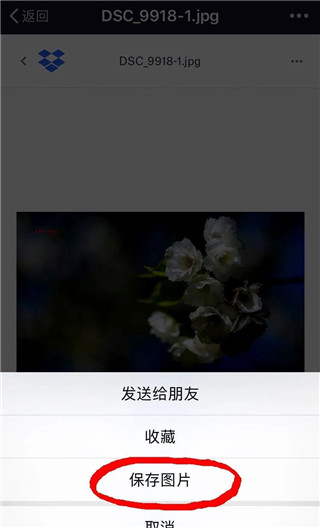 Dropbox手机版 图5