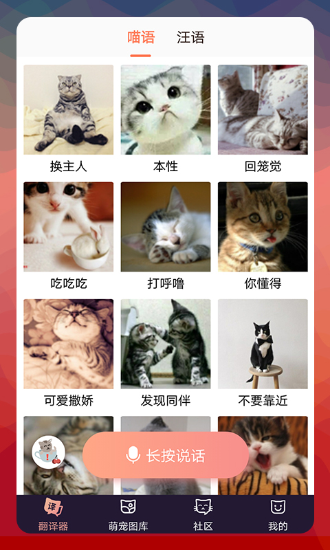 猫语翻译器 图1