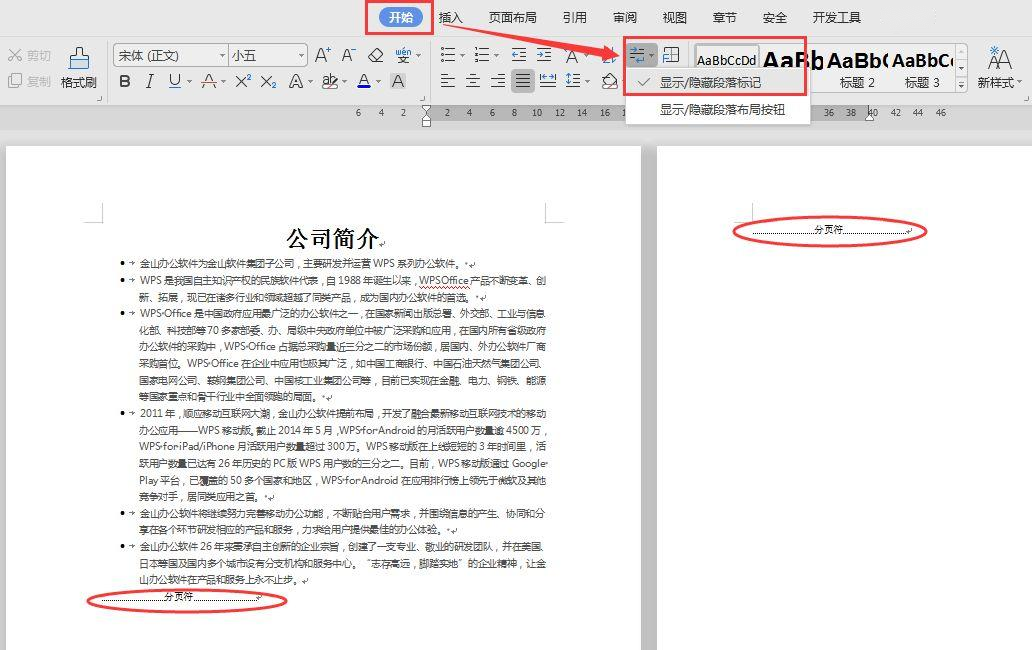 word怎么删除空白页_word怎么删除其中一页 图4 word怎么删除空白页_word怎么删除其中一页 图4
