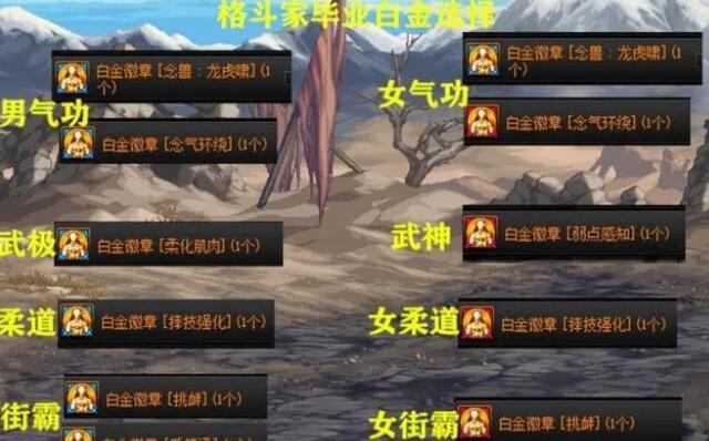 DNF全职业角色白金徽章选什么 图3 DNF全职业角色白金徽章选什么 图3