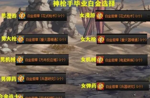DNF全职业角色白金徽章选什么 图4 DNF全职业角色白金徽章选什么 图4