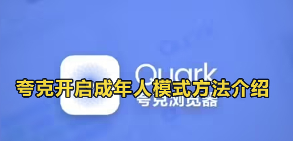 夸克浏览器网站免费进入网址 图3