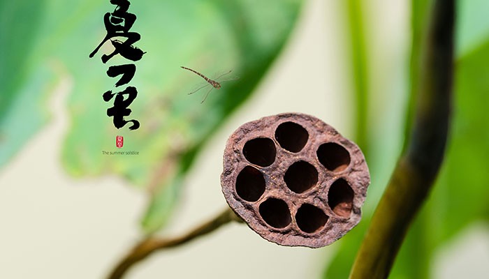 夏至是2023的几月几日_夏至是入伏的头一天吗 图1