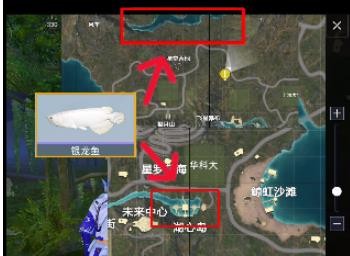 和平精英水族馆的鱼怎么获得 图6