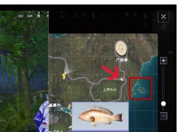 和平精英水族馆的鱼怎么获得 图7