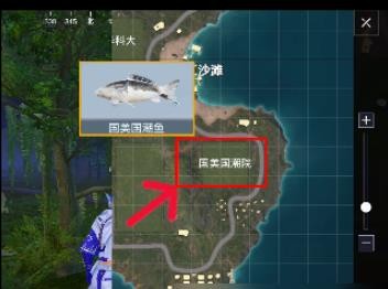 和平精英水族馆的鱼怎么获得 图9