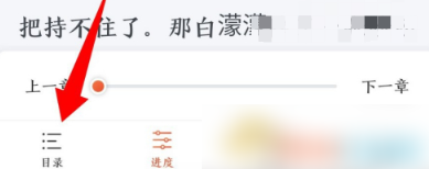 奇迹文学怎么加书签 图18 奇迹文学怎么加书签 图18