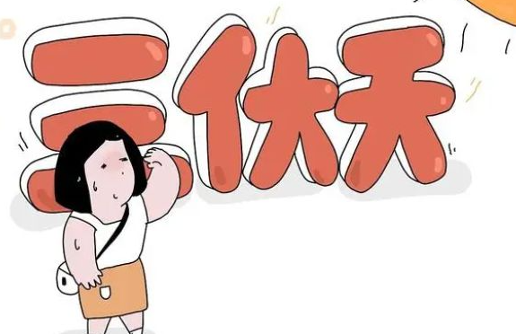 为何三伏天是最佳减肥时期 图2 为何三伏天是最佳减肥时期 图2
