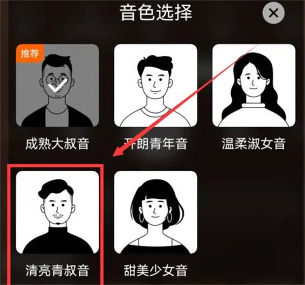 番茄畅听怎么换人声 图5