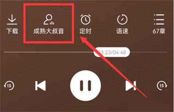 番茄畅听怎么换人声 图4