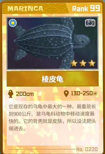 潜水员戴夫棱皮龟在哪 图2 潜水员戴夫棱皮龟在哪 图2