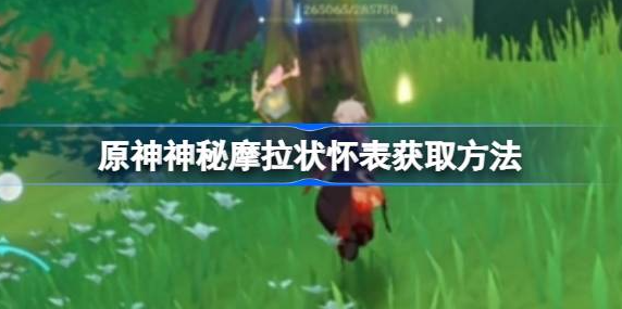 原神神秘摩拉状怀表有什么用 图1 原神神秘摩拉状怀表有什么用 图1