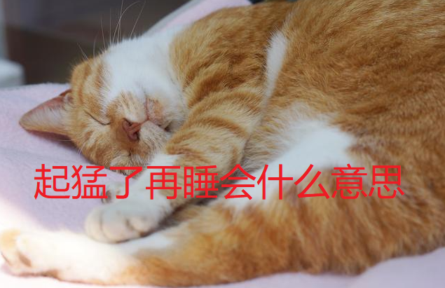 起猛了是什么意思 图1
