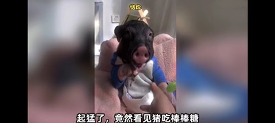 起猛了是什么意思 图2