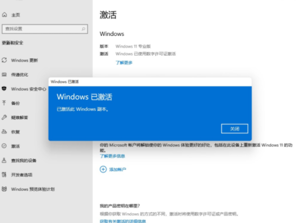 win11专业版永久激活密钥2023最新 图5 win11专业版永久激活密钥2023最新 图5