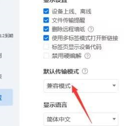 ToDesk怎么设置兼容模式 图4