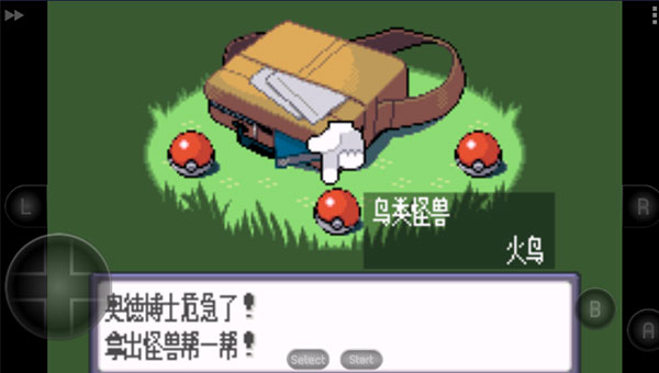 口袋妖怪蓝宝石 图3