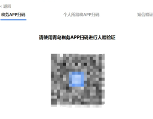 电子税务局网页版打不开怎么办 电子税务局网页版打不开是怎么回事