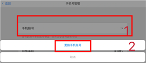 光遇怎么玩 光遇怎么加好友 光遇怎么玩 光遇怎么加好友