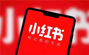 小红书怎么涨粉丝最快 小红书怎么涨小眼睛 小红书怎么涨粉丝最快 小红书怎么涨小眼睛