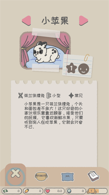 兔兔乐园游戏(Bunny Haven)