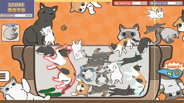 猫咪三重奏游戏(CatTrio) 图4