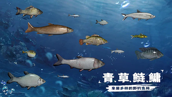 天天钓鱼下载正版 天天钓鱼下载正版