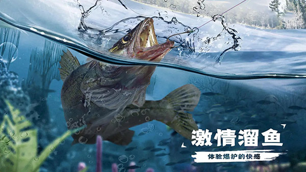 天天钓鱼下载正版 天天钓鱼下载正版