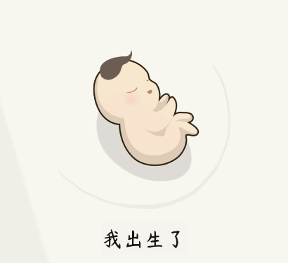 奇迹人生游戏 奇迹人生游戏