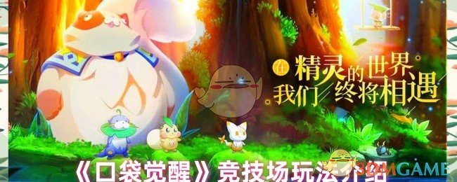 《口袋觉醒》竞技场玩法介绍 图1 《口袋觉醒》竞技场玩法介绍 图1