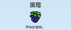 《星露谷物语》黑莓脆皮饼制作方法 图2