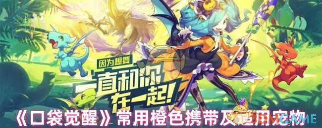 《口袋觉醒》常用橙色携带及适用宠物 图1