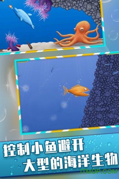 美味深蓝完全版v2.0.3_安卓版 图1 美味深蓝完全版v2.0.3_安卓版 图1