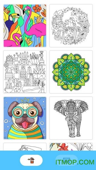 Paint.ly游戏v2.8.5_安卓版 图1 Paint.ly游戏v2.8.5_安卓版 图1