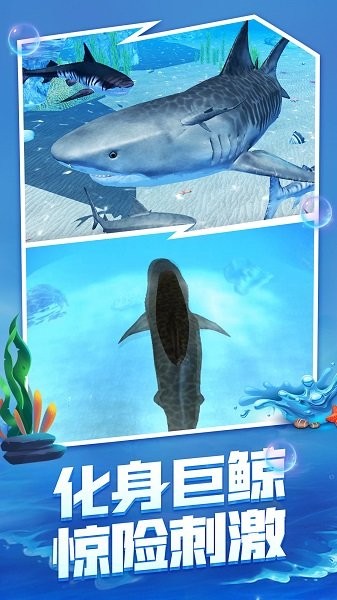 海底生存大猎杀v1.0.1_安卓版 图1