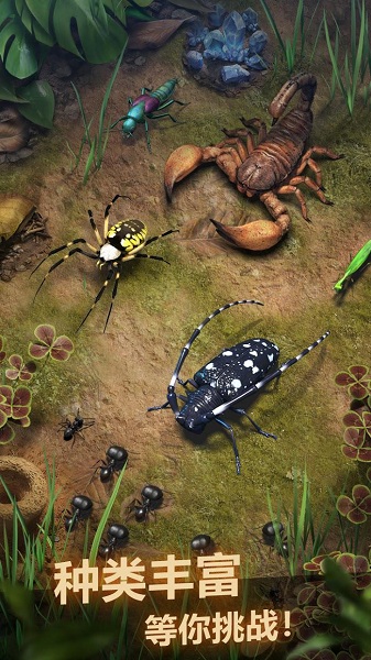 蚂蚁地下王国(The_Ants)手游v1.31.0_安卓版 图1