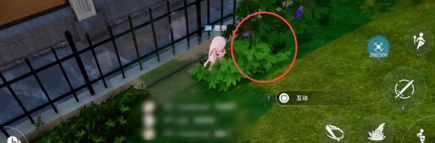 《开放空间》采集物攻略 图5