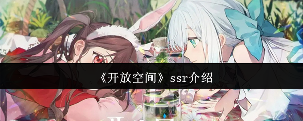 《开放空间》ssr介绍 图1