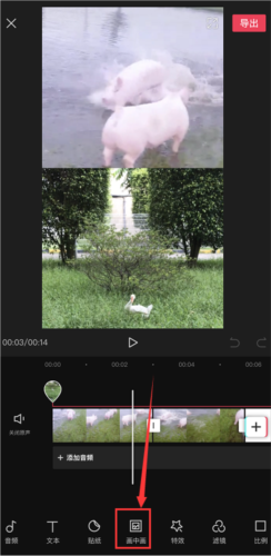 伊人直播app 图11