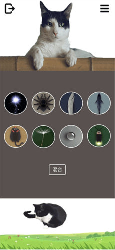 迷你世界破解版999999迷你币 图3 迷你世界破解版999999迷你币 图3