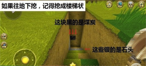 生命life安卓版 图14