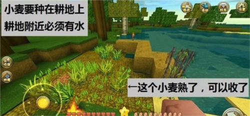 生命life安卓版 图15