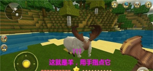 生命life安卓版 图16