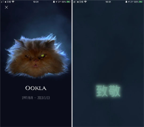 MT管理器app 图14 MT管理器app 图14